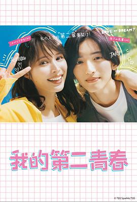 优化漏洞小说下载网站